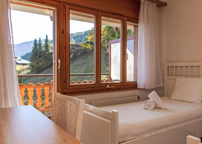 Daire Ambassador I 7 By Interhome *